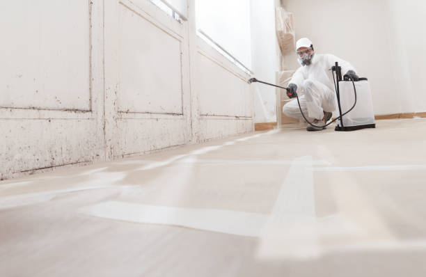 24/7 Emergency Mold Cleanup experts in Forest Lake, IL