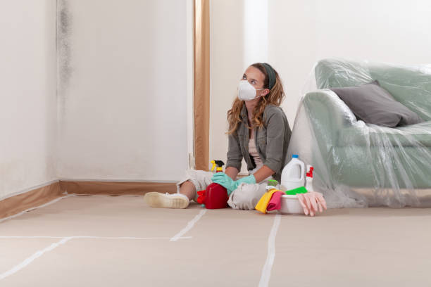 Reliable Mold Cleanup contractor in Forest Lake, IL by WQB Mold Removal